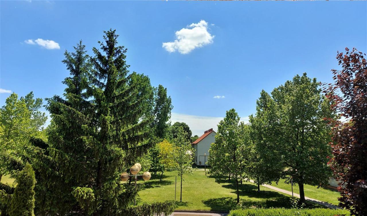 Csipke Hotel Kiskunhalas Bagian luar foto